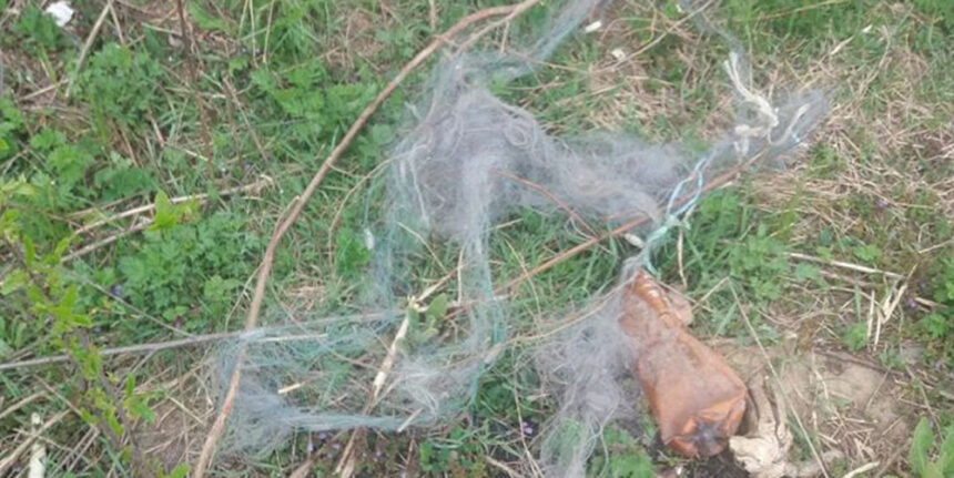 За тиждень рибпатрульні зафіксували 70 правопорушень на Вінниччині