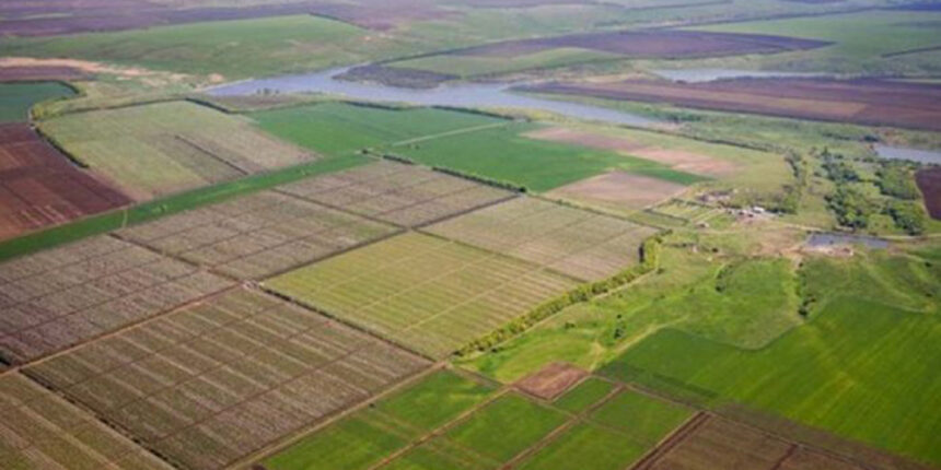 Прокуратура Вінниці наполягає на поверненні державі 25 га землі