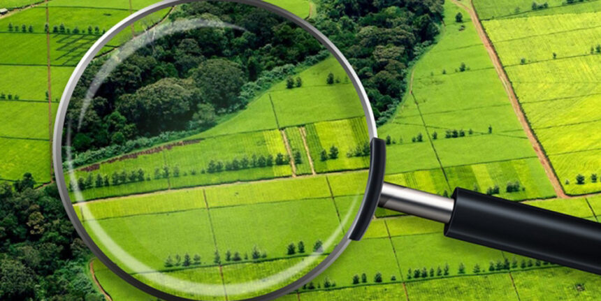 На Вінниччині у комунальну власнысть може перейти 2,3 га земель вартістю 126 тис. грн