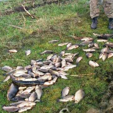 На Вінниччині виявили 181 факт незаконного вилову риби