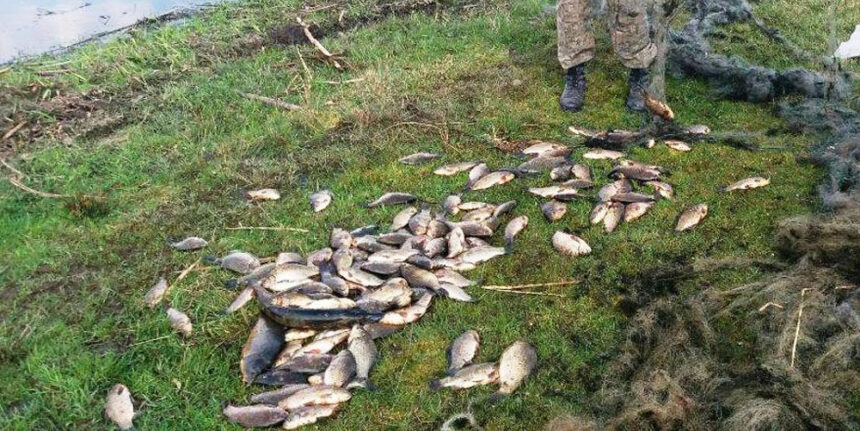 На Вінниччині виявили 181 факт незаконного вилову риби