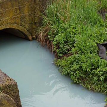 Екологи з'ясовують хто забруднив річку Тяжилівку на Хуторі Шевченка