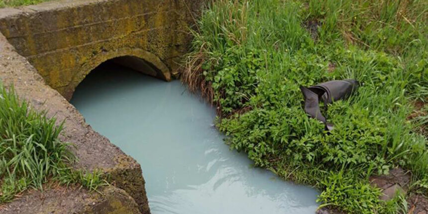 Екологи з'ясовують хто забруднив річку Тяжилівку на Хуторі Шевченка