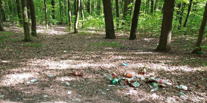Вінницькі лісівники скаржаться на засмічувачів зелених галявин