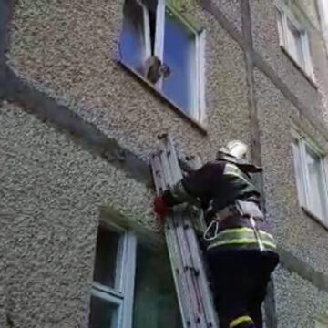 У Вінниці рятувальники тягнули кота з віконної рами
