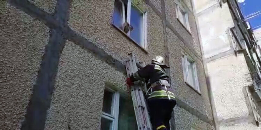 У Вінниці рятувальники тягнули кота з віконної рами