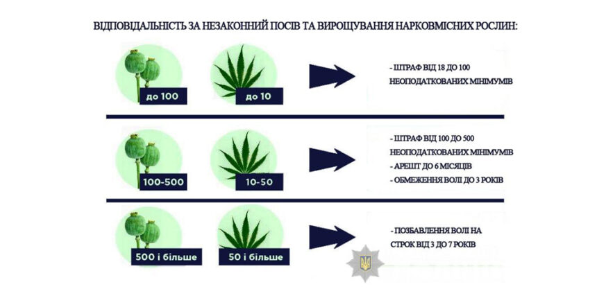 На Вінниччині розпочалась оперативно-профілактична операція «МАК-2020»