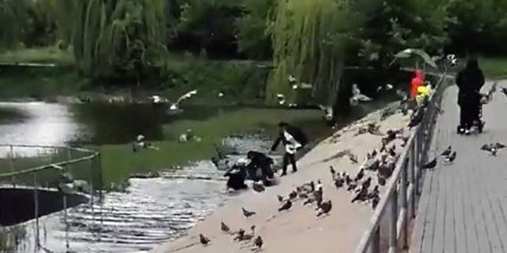 У Вінниці випадковий перехожий врятував дитину, яка впала в озеро