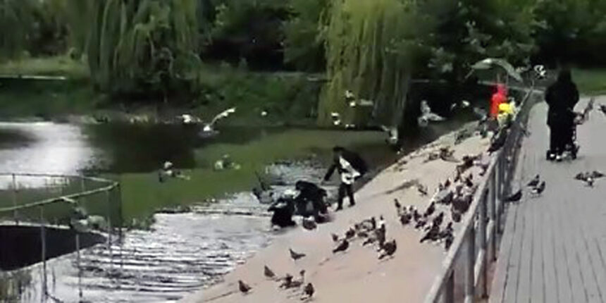 У Вінниці випадковий перехожий врятував дитину, яка впала в озеро