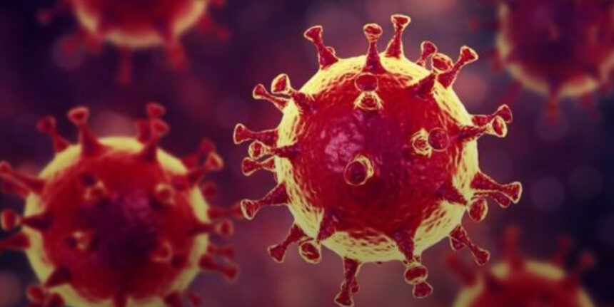 У Вінницькій області 751 підтверджених випадків COVID-19