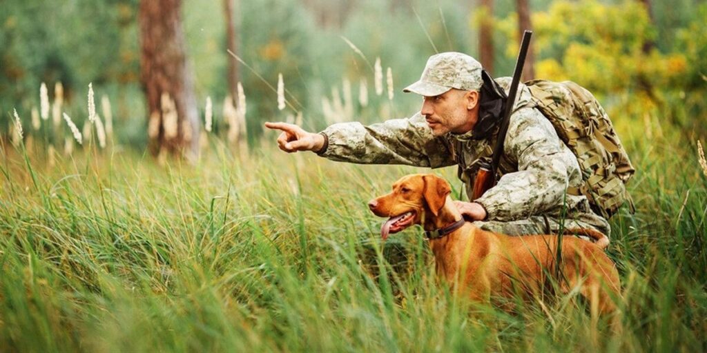Лісівники відстрелюють не тільки вовків, лисиць, шакалів, але й бродячих котів
