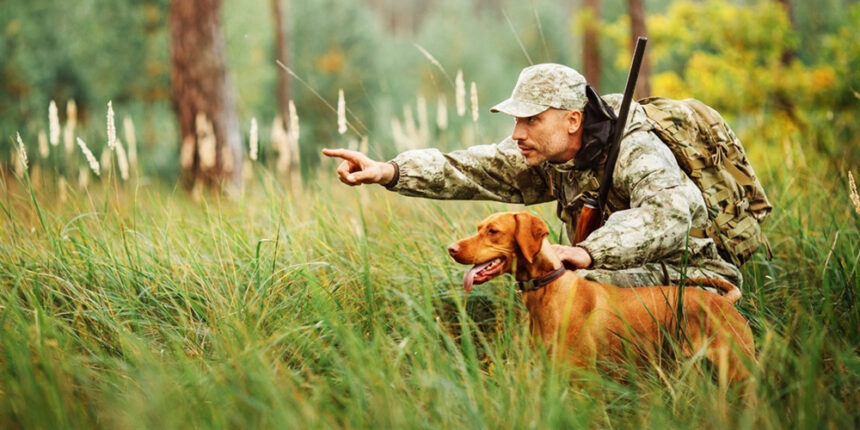 Лісівники відстрелюють не тільки вовків, лисиць, шакалів, але й бродячих котів