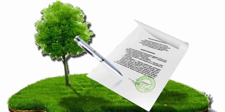 Як вінничанка розірвала договір оренди та поставила на місце недобросовісного орендаря