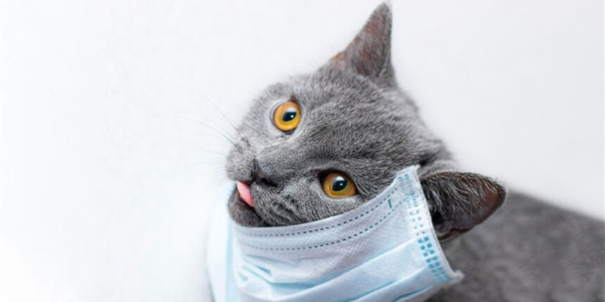 Вінницька область готова до послаблення карантинних заходів. А половина інших областей не готові