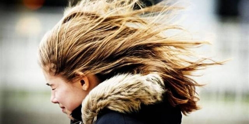 Вінниччину чекають пронизливі вітри та нічні заморозки на грунті