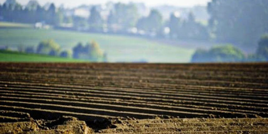 Чоловіка, незаконно заволодів земельною ділянкою на Вінниччині, чекає суд