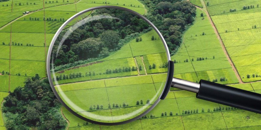 На Вінниччині проведуть пілотний конкурс «Золота ділянка 2020»