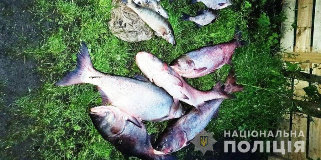 На Вінниччині виявили понад 450 фактів незаконного вилову риби