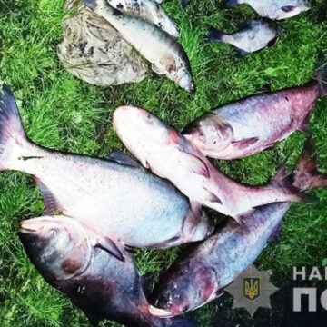 На Вінниччині виявили понад 450 фактів незаконного вилову риби