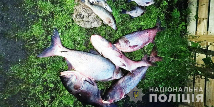 На Вінниччині виявили понад 450 фактів незаконного вилову риби