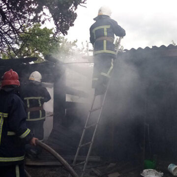 У Козятинському районі рятувальники ліквідували пожежу в господарчій споруді