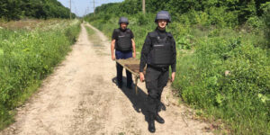 На Вінниччині знищено 5 снарядів та одну міну часів Другої світової