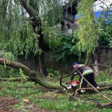 У Жмеринці рятувальники звільнили автошлях від повалено дерева