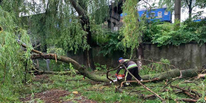 У Жмеринці рятувальники звільнили автошлях від повалено дерева