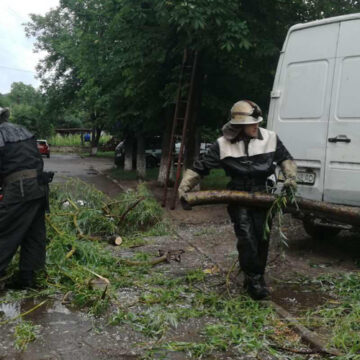 У Ямполі бійці ДСНС прибрали повалене дерево з автомобіля та автошляху