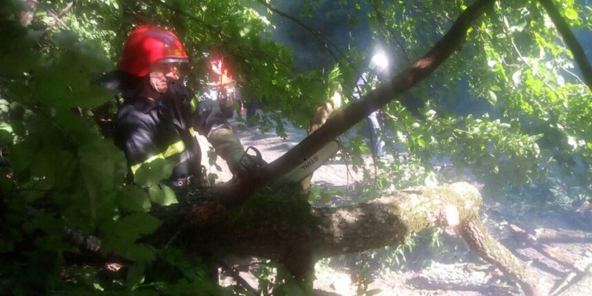 У Шаргородському районі рятувальники прибрали повалене негодою дерево