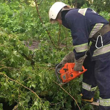 Хмільницькі рятувальники прибрали з шляху повалене дерево