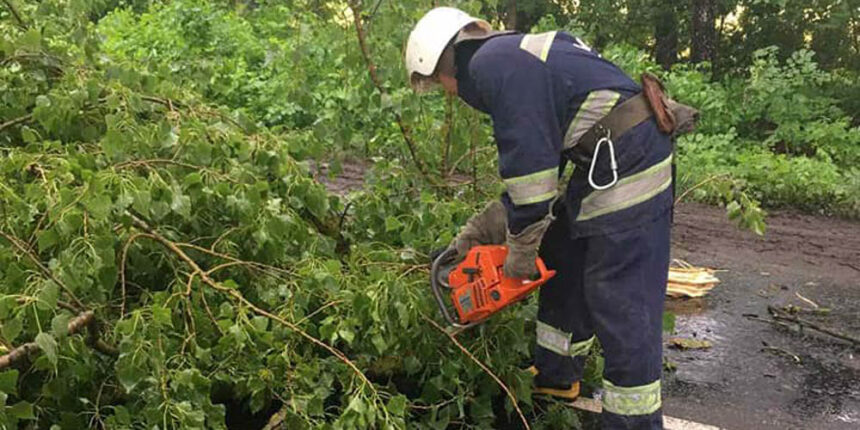 Хмільницькі рятувальники прибрали з шляху повалене дерево