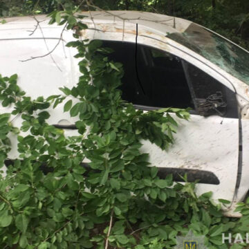 ДТП у Тростянецькому районі: водій автомобіля Citroen в'їхав в дерево і загинув