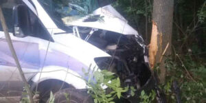 У Гайсинському районі водій врізався в дерево
