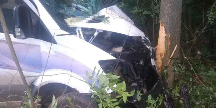 У Гайсинському районі водій врізався в дерево