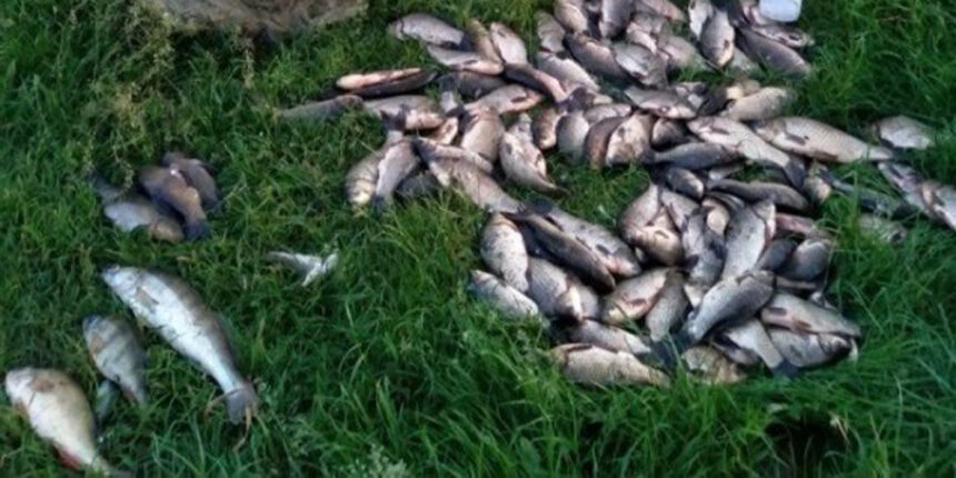 На Вінниччині протягом одного дня вилучили майже 20 кг незаконно добутої риби