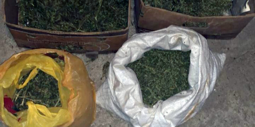 У жителя Вінницького району поліцейські вилучили майже кілограм канабісу