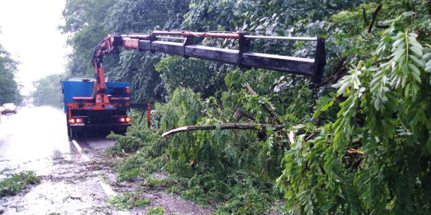 На Вінниччині рятувальники 7 разів за добу виїздили через падіння дерев