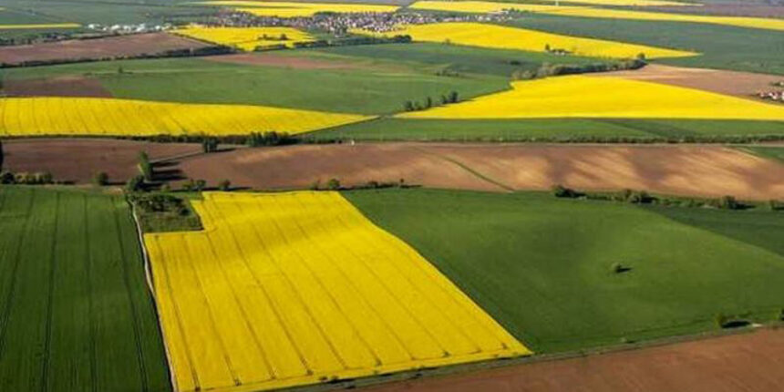 Землі 30 гектар у Калинівському районі здали в оренду з порушенням закону