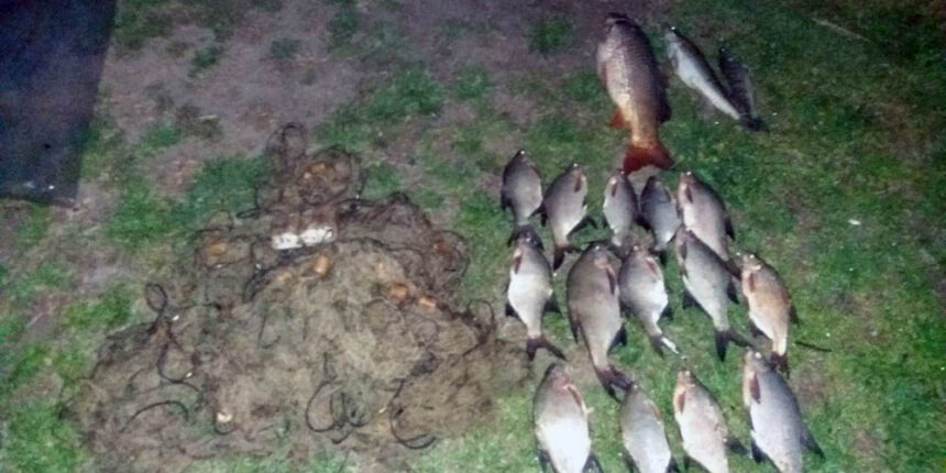 На Вінниччині виявили майже 600 фактів незаконного вилову риби