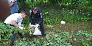 Майже 2 тисячі рослин маку та конопель вилучили поліцейські у вінничан