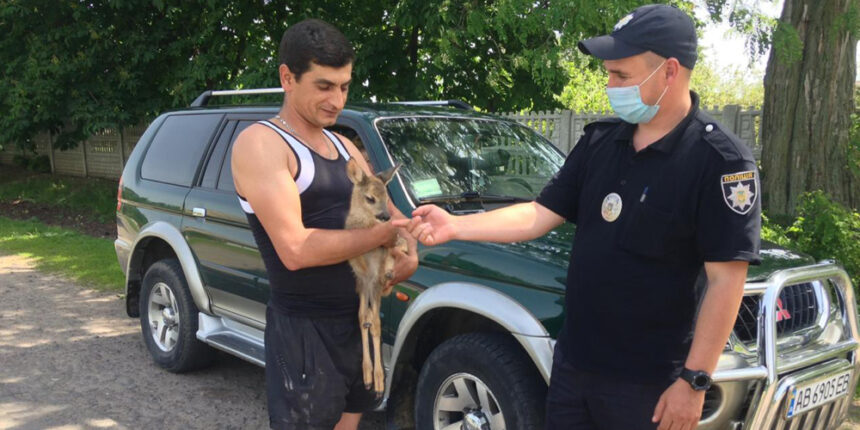 На Вінниччині поліцейські передали зоопарку маля козулі
