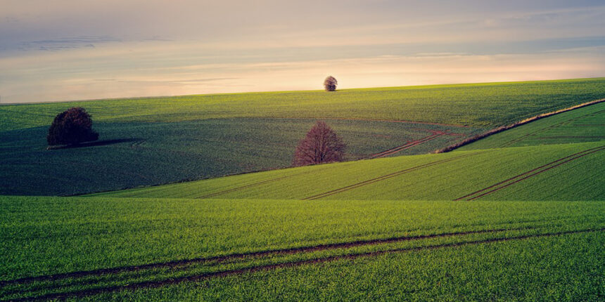 На Вінниччині у комунальну власність відійде 8 га земель