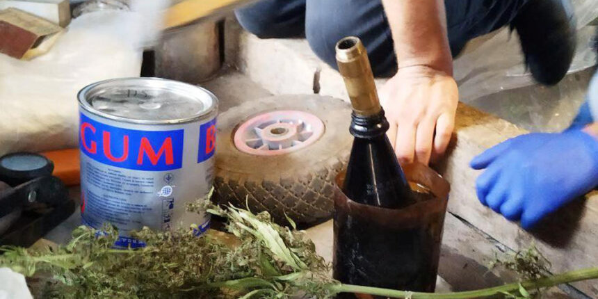 На Вінниччині поліцейські вилучили 224 кущі конопель з приватних домоволодінь