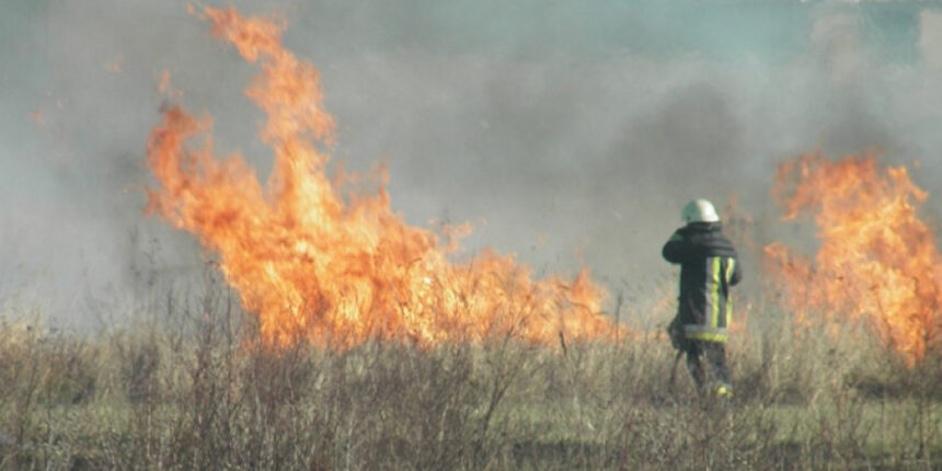 На Вінниччині за добу загасили 9 пожеж в екосистемах