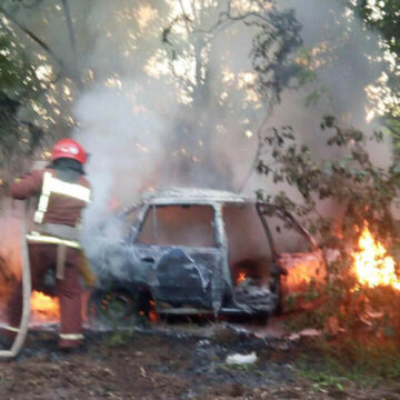 У Жмеринському районі на узбіччі згорів легковий автомобіль