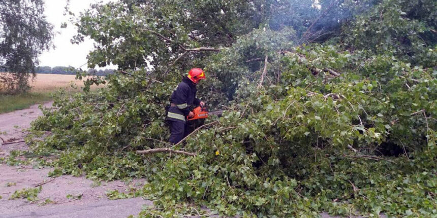 Під Калинівкою та на об’їзній рятувальникам довелось прибирати дерева з шосе