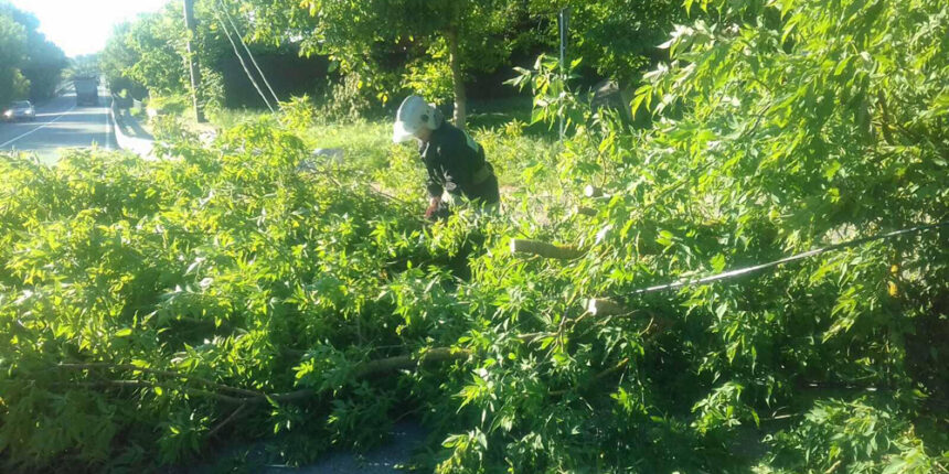 У Тиврівському районі бійцями ДСНС звільнено автошлях від поваленого дерева