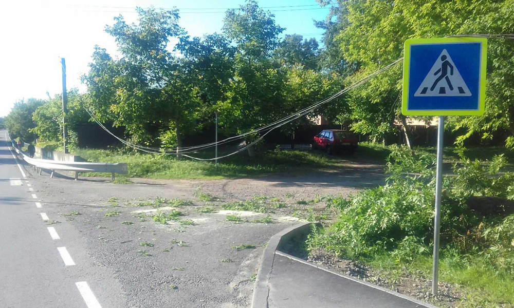 Повідомлення про те, що в селі Селище Тиврівського району на проїжджу частину дороги впало дерево надійшло до Служби порятунку 14 липня о 7:32.