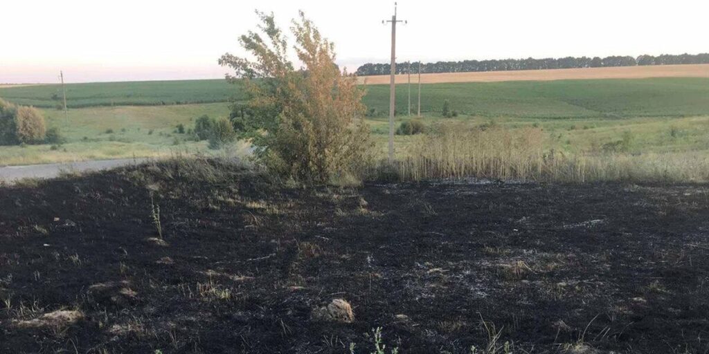 У Літинському районі сапери ДСНС знищили артилерійський снаряд
